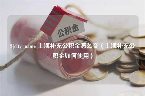 梧州上海补充公积金怎么交（上海补充公积金如何使用）